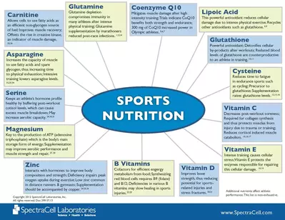 sports nutrition wheel